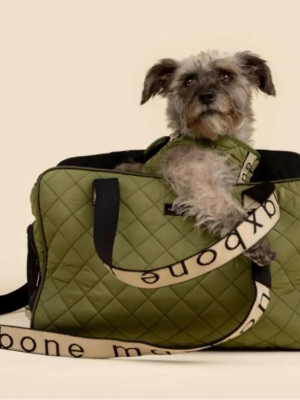 Maxbone Quilted Dog Sport Carrier Bag Olive Green EUC Airline Approved